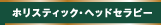 ホリスティック・ヘッドセラピー