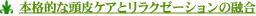 �{�i�I�ȓ���P�A�ƃ����N�[�[�V�����̗Z��