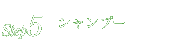 Step5.シャンプー