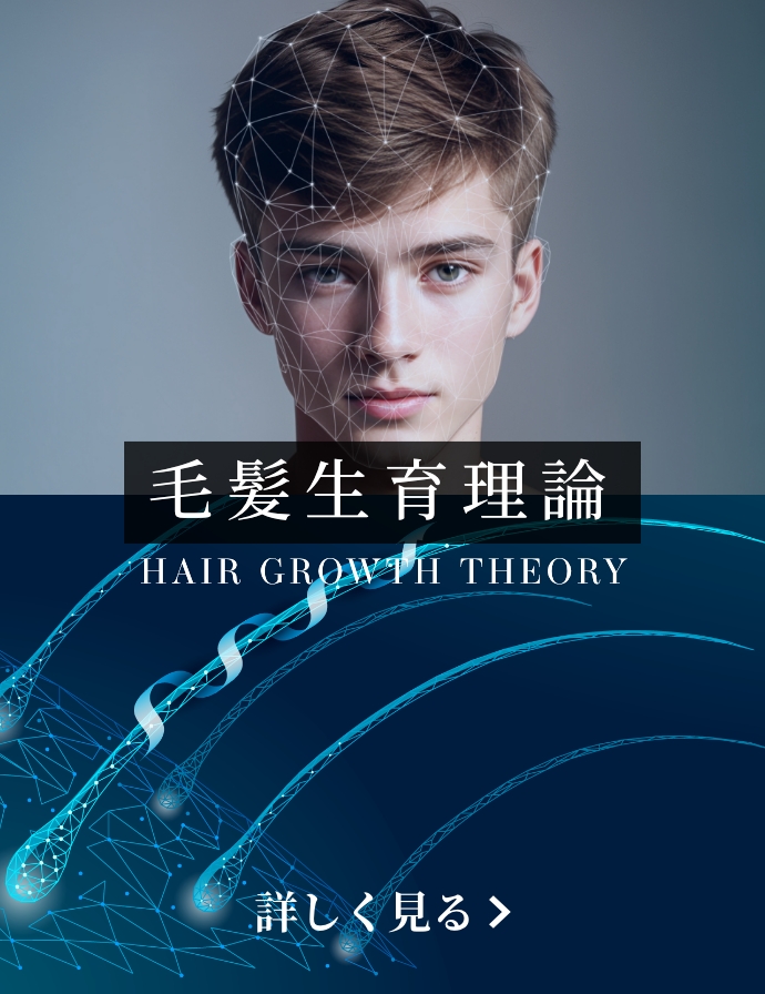 毛髪生育理論 HAIR GROWTH THEORY