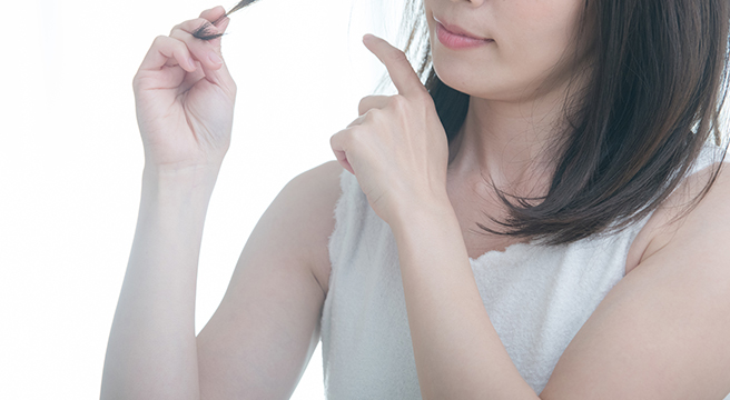 髪の毛が生える仕組みとは？