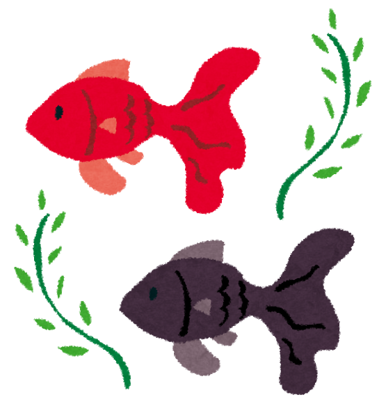 夏だ お盆だ でもその前に 京都駅前サロンスタッフブログ 育毛 Aga 薄毛対策なら バイオテック