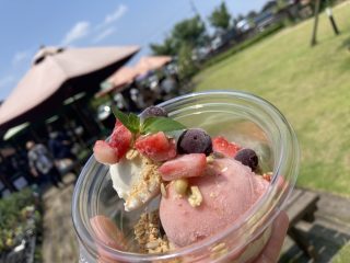 プチお豆知識❔🧠
