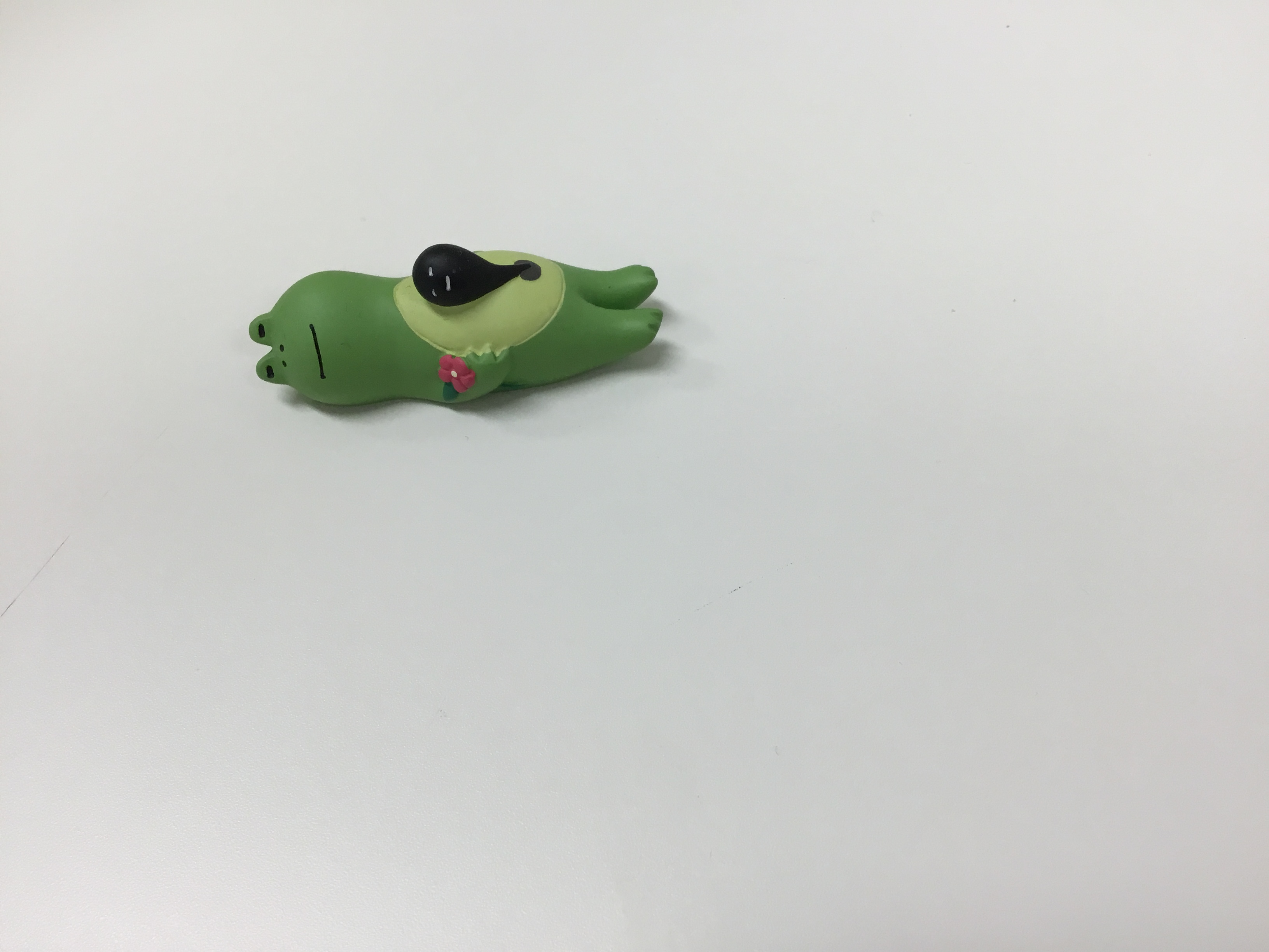 お久しぶりです！