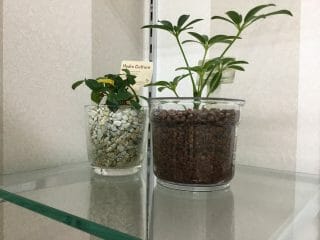 おっと危ない２月は２８日まで・・・・！ブログアップできずに３月突入してしまうことろでしたアセアセ