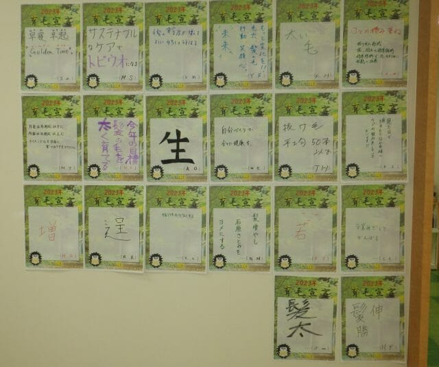 ＊2023年育毛宣言しちゃいました＊