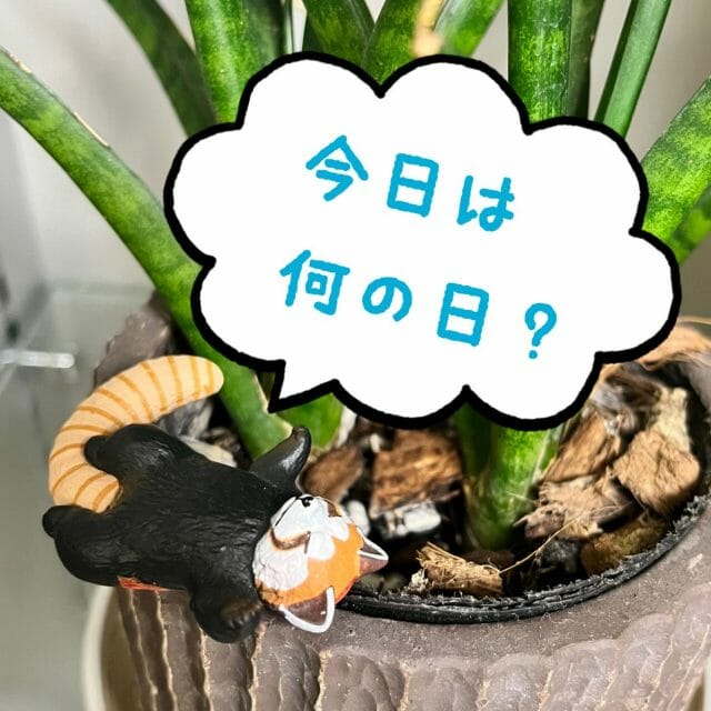 サボテンってすごい
