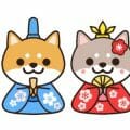 3月🐾