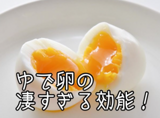 ！ゆでたまご！