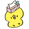 花粉は辛いけど嬉しかった事