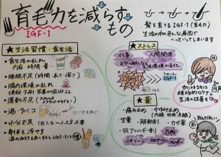 髪を育てる力、を減らすもの