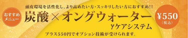 オプション技術バージョンアップしました！②