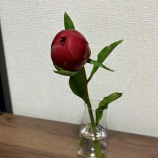 花のある暮らし💐＆カレンダー📅