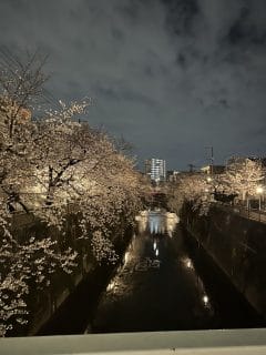 4月からよろしくお願いいたします🌸✨